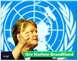 Informe de Brundtland