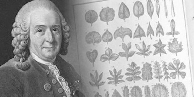 Carl Von Linnaeus.