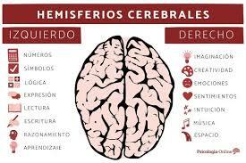 Hemisferios Cerebrales