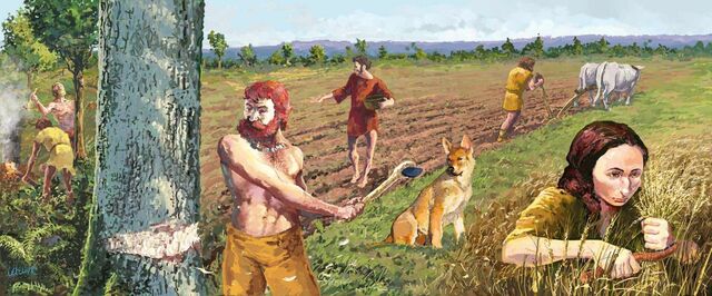 Début de la domestication des animaux