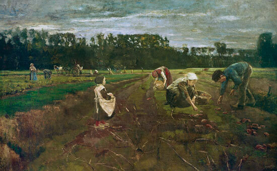 Tizón tardío de la papa al norte de Europa