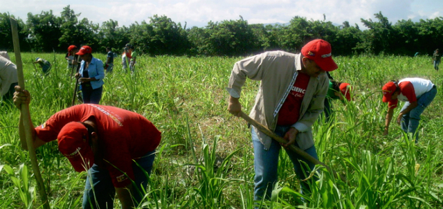 Misión vuelta al campo