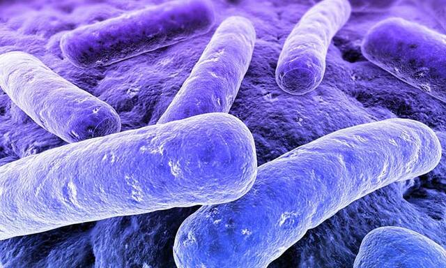 Resistencia a antibióticos