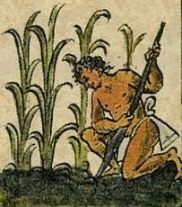 Primeros Agricultores.