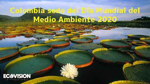 Colombia será el país anfitrión del Día Mundial del Medio Ambiente 2020 dedicado a la biodiversidad