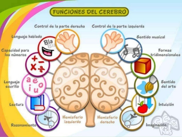 LA FASE INICIAL 1800 - 1940