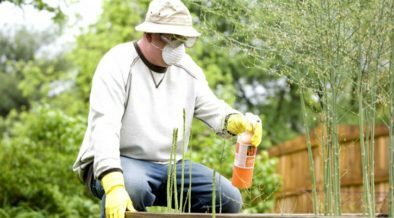 Antibióticos en plantas
