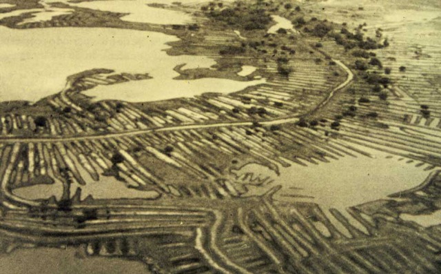 Building in The Rivers