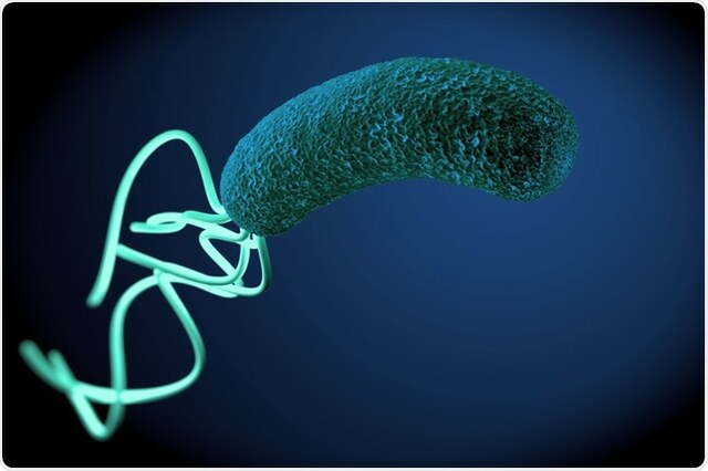 Bacterias fastidiosas