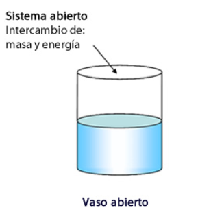 teoría de los sistemas abiertos