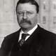 Theodore roosevelt