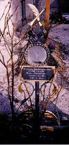 The end of Erwin's life