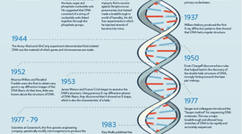 Timeline: DNA timeline
