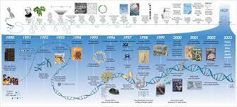 Human Gene Map Created