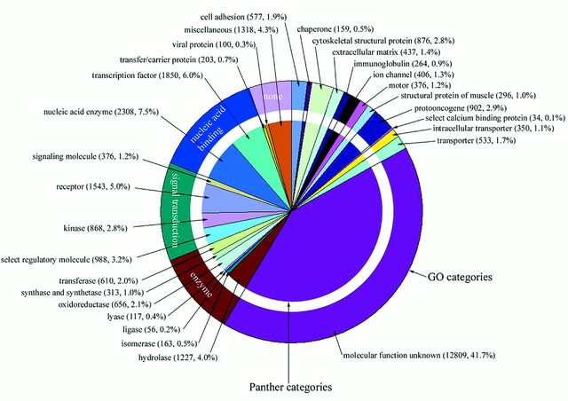 HGP Map Included 30,000 Human Genes
