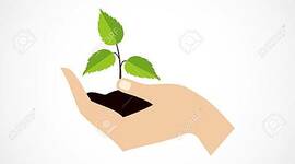 Timeline: Historia de la fitopatología