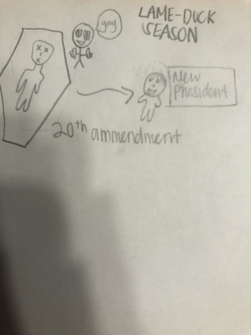 The 20th Ammendment