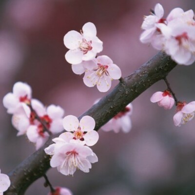 Timeline: Моя жизнь