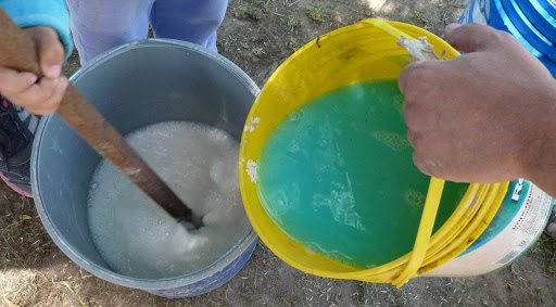 Caldo bordelés para evitar la rapiña de la vid