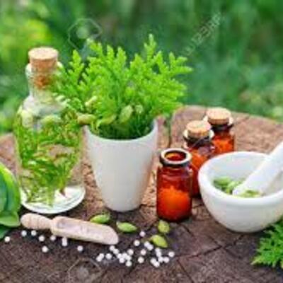 Timeline: Terapias Naturales