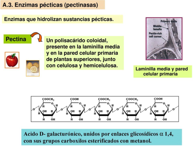 Enzimas pecticas y patogenesis en plantas