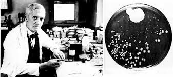 Antibióticos aplicados en plantas