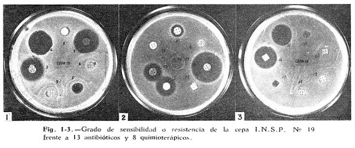 Resistencia bacteriana