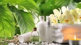 Timeline: Natural Therapies