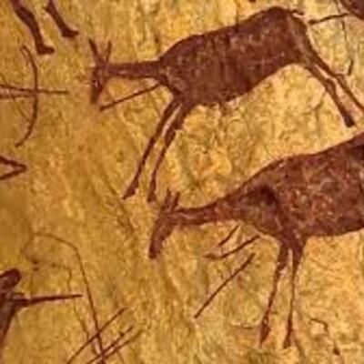 Timeline: Hugo Cantón Moreno