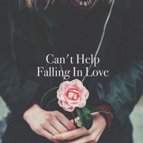 Can't help falling love