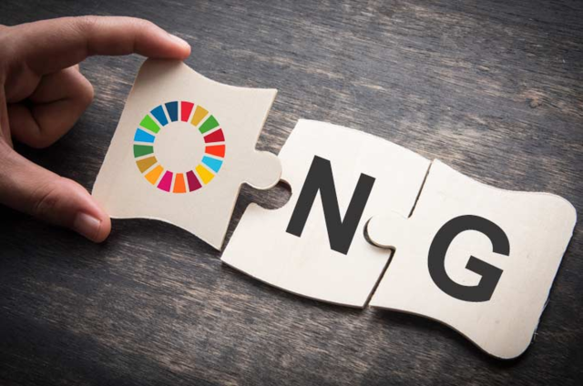 ONG. Un factor importante para la Comunicación Organizacional y de Desarrollo.