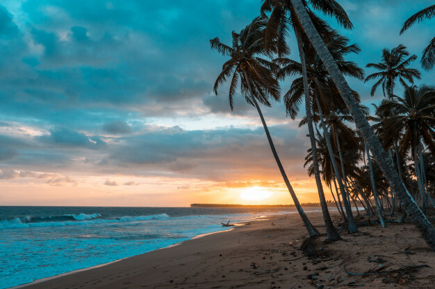 I finished writing “Ángeles de la Guarda” at...