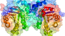 Timeline: Linea de Tiempo: Las Enzimas - Jhoan Santiago 3er Año