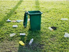 Salud y saneamiento ambiental. Articulo 49.