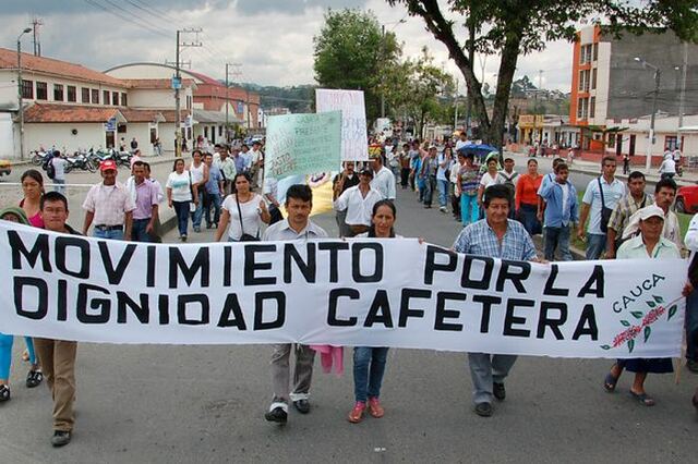 MS en Colombia - Dignidad cafetera