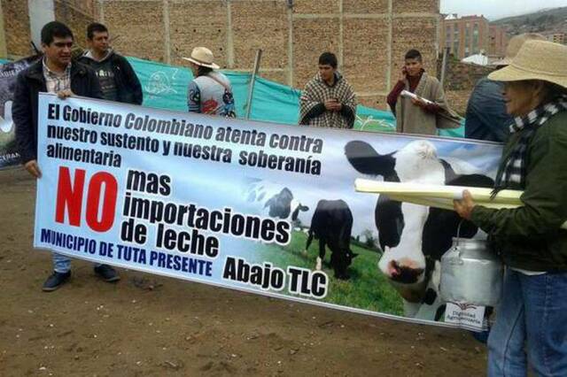 MS en Colombia - Dignidad lechera