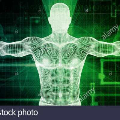 Timeline: Fase 1 – Presaberes y fundamentos Nathalia Ramirez Suarez