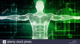 Timeline: Fase 1 – Presaberes y fundamentos Nathalia Ramirez Suarez