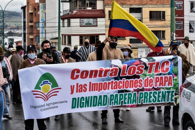 MS en Colombia - Dignidad papera