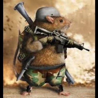 Timeline: WWI Events