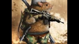 Timeline: WWI Events