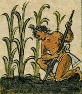 primeras expediciones