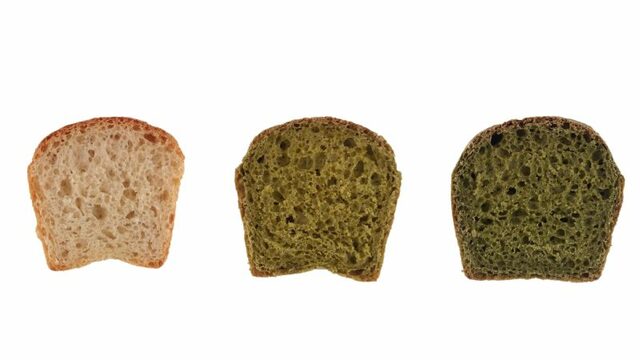 Incorporan por primera vez dos nuevas microalgas como ingredientes de panes y galletas saladas