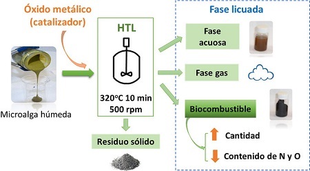 Nuevo biocombustible con microalgas