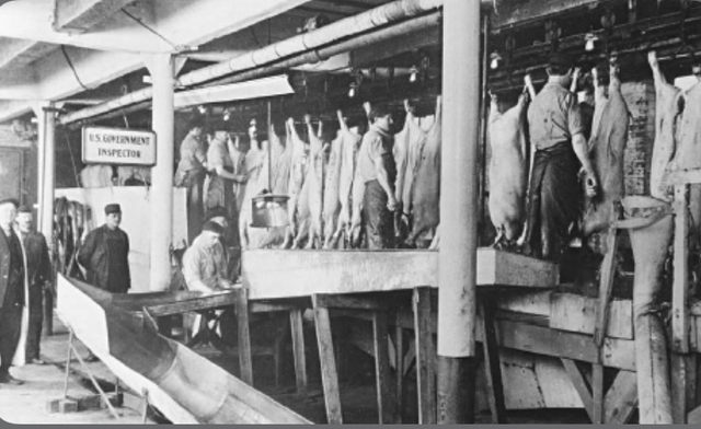 Federal meat inspection