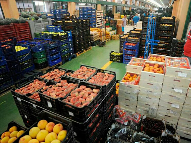 Exportaciones agrícolas