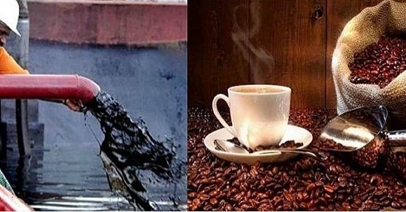 Petróleo Vs Café