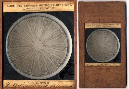 Richard Leach Maddox