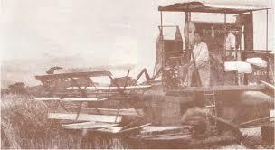 Azúcar y arroz para el pueblo