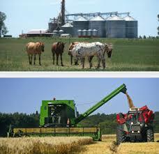 Actividades Agropecuarias